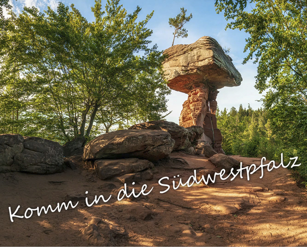 Entdecke die Südwestpalz