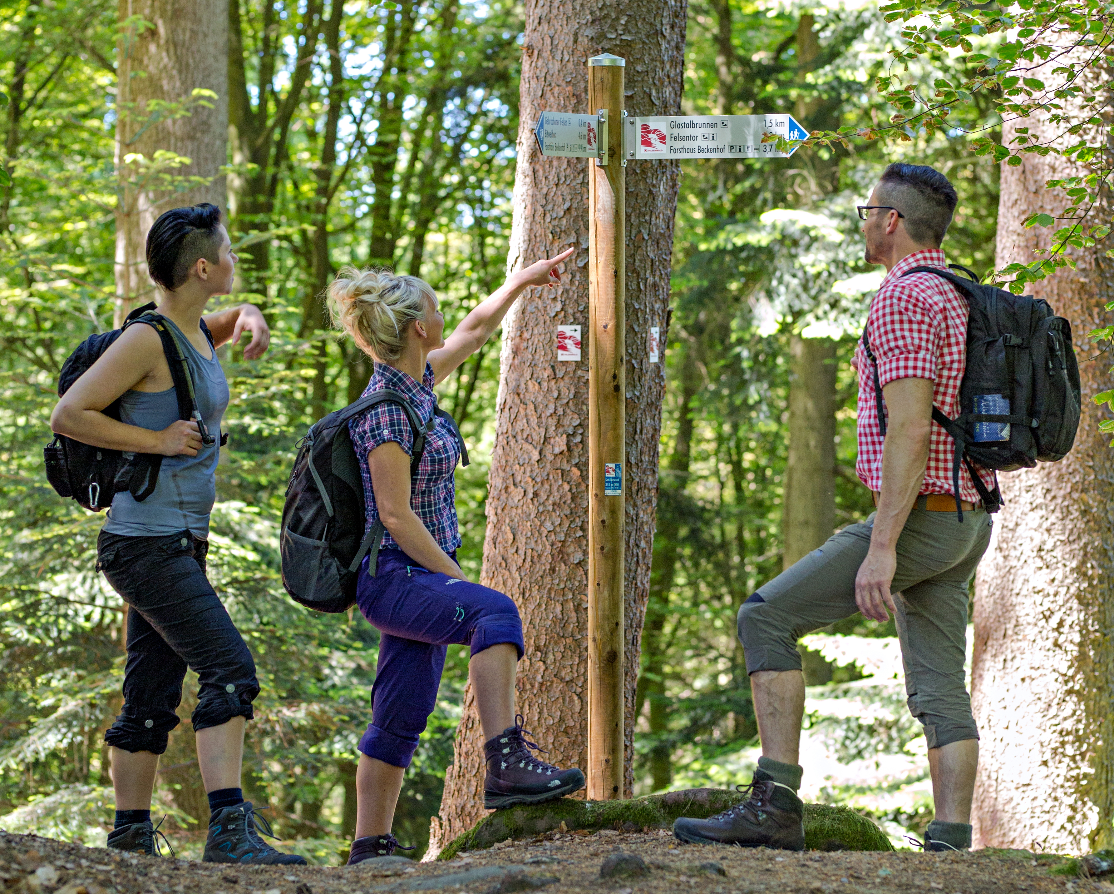 Wanderfalkenschutz
