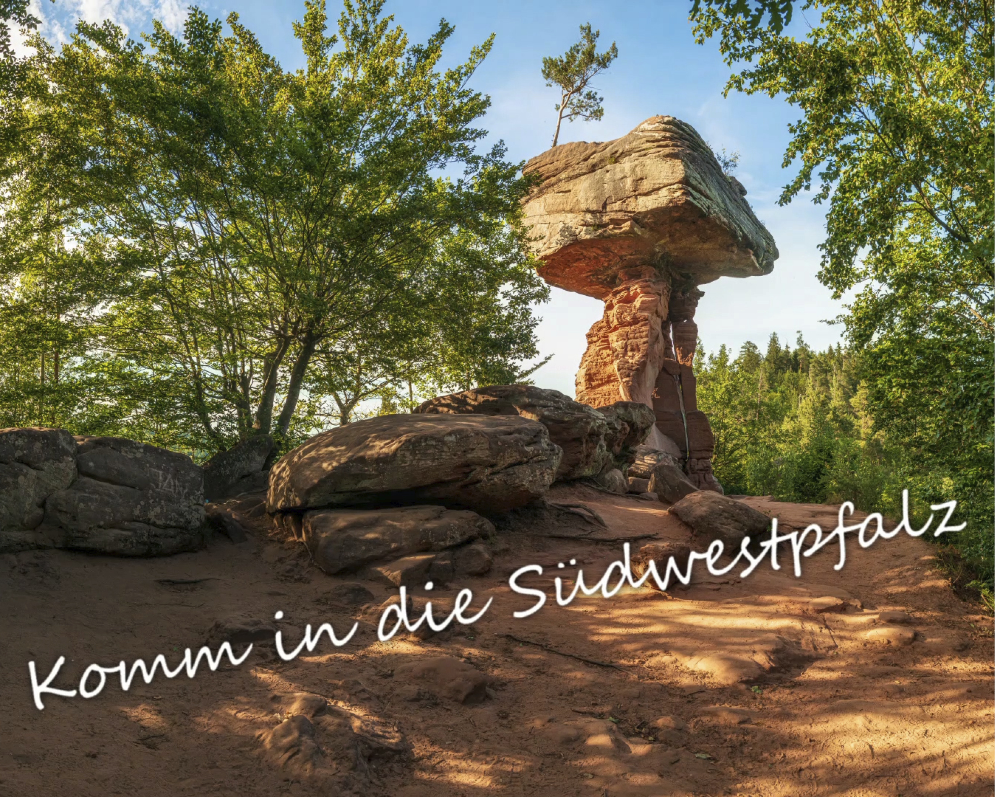 Entdecke die Südwestpalz