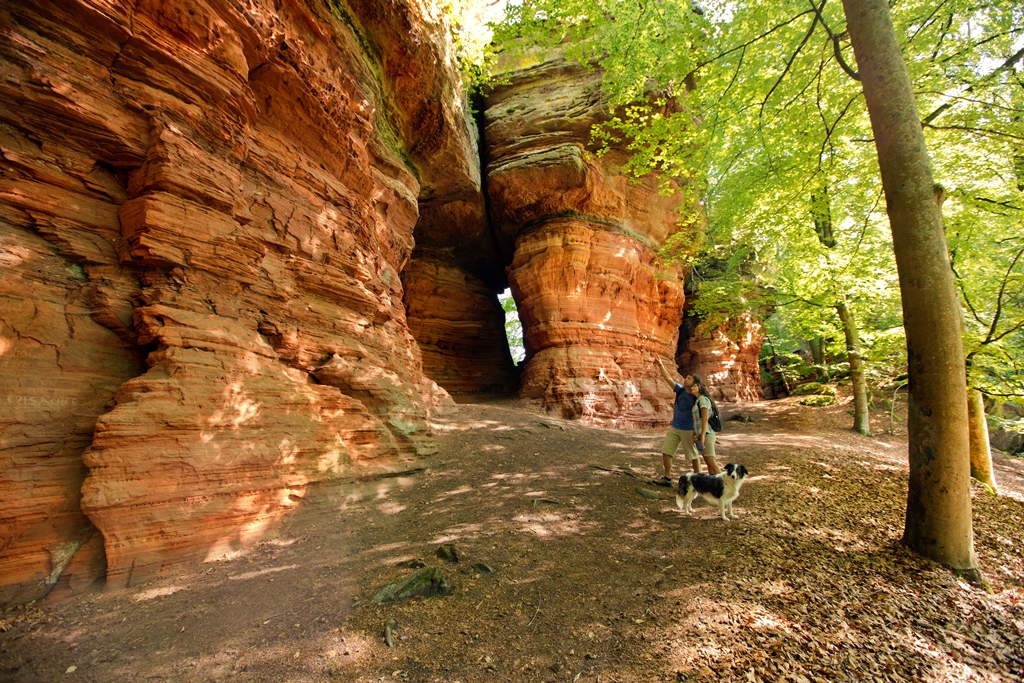 Altschloßfelsen bei Eppenbrunn